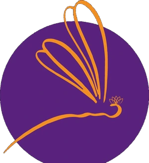 Happy Yoga Studio